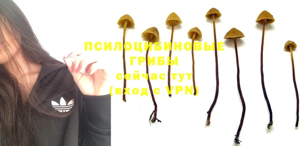 синтетический гашиш Белоозёрский