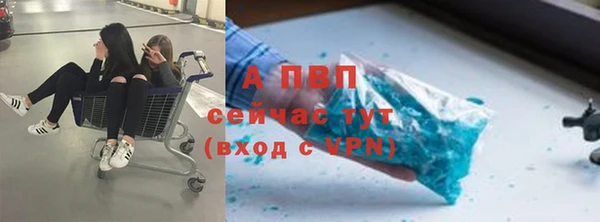 прущая мука Богданович