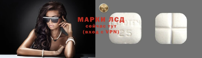 гидропоника Богородск