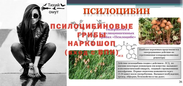 2c-b Рославль