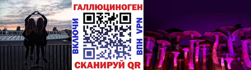 купить закладку  Буйнакск  Псилоцибиновые грибы Psilocybine cubensis 