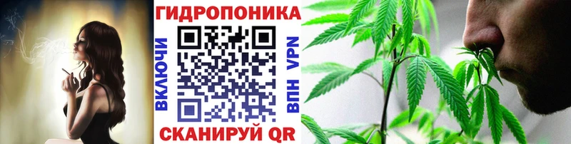 где купить   Буйнакск  Шишки марихуана индика 